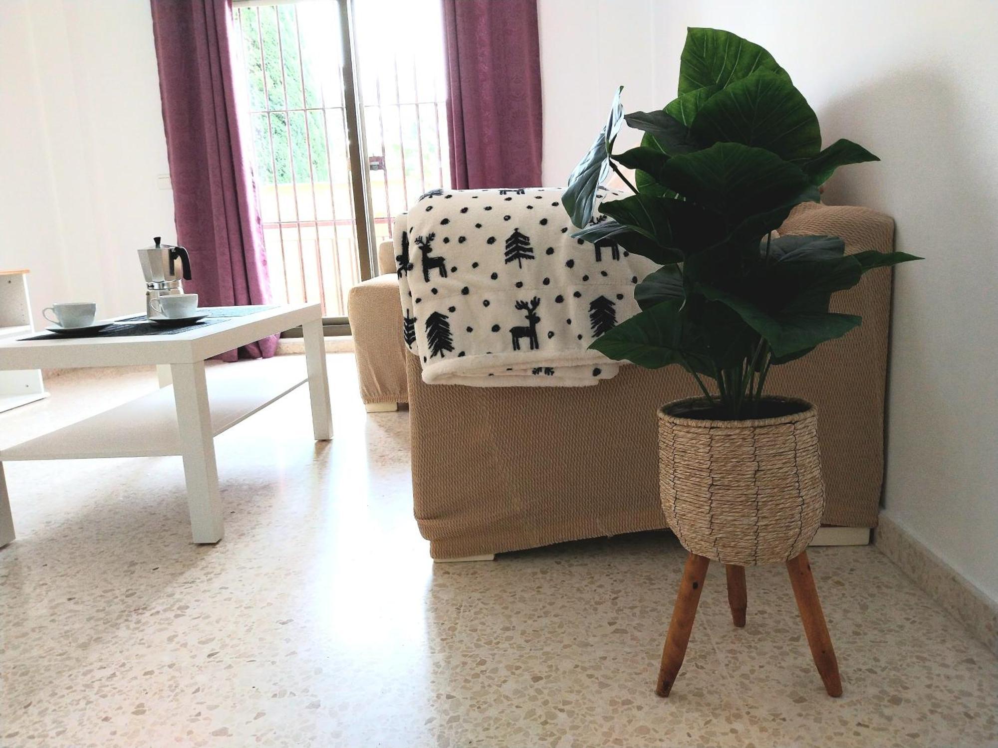 חרז Top Suite Apartment Jerez Jardin Y Patio מראה חיצוני תמונה